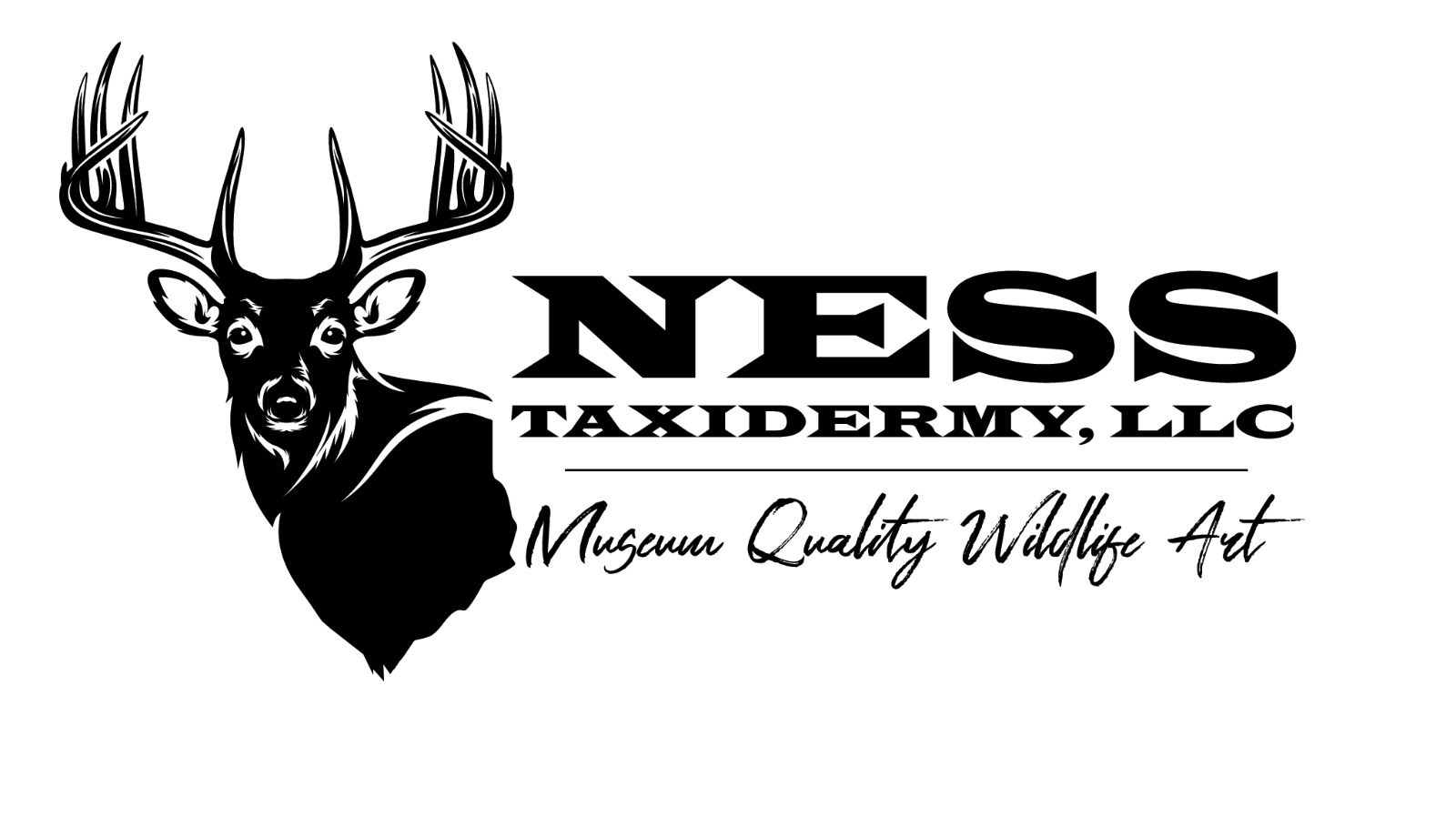 Ness Taxidermy Seven Valleys PA